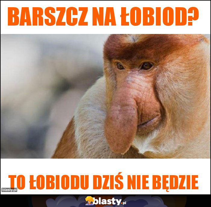 Barszcz na łobiod?