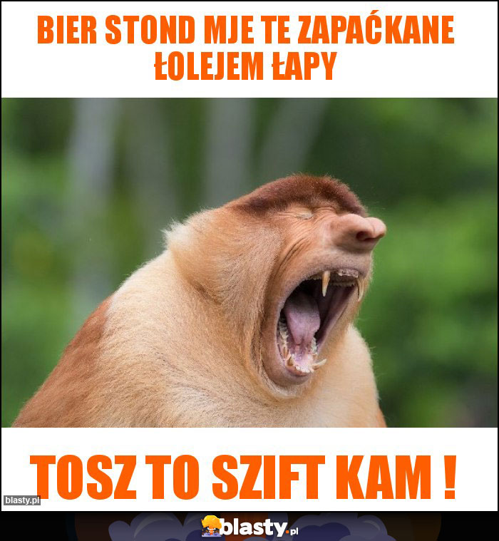 Bier stond mje te zapaćkane łolejem łapy