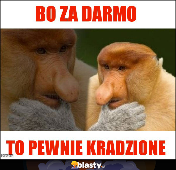 Bo za darmo