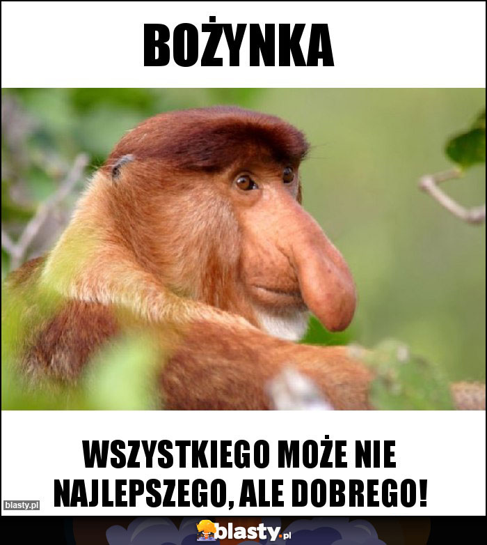 BOŻYNKA