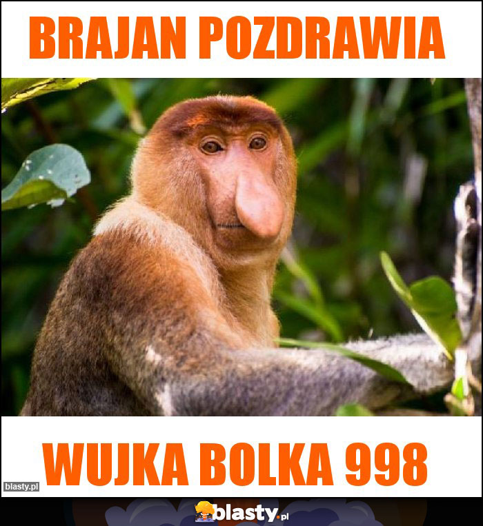 Brajan pozdrawia