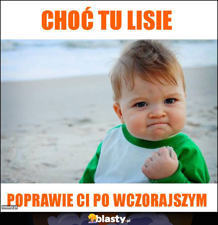 Choć tu lisie