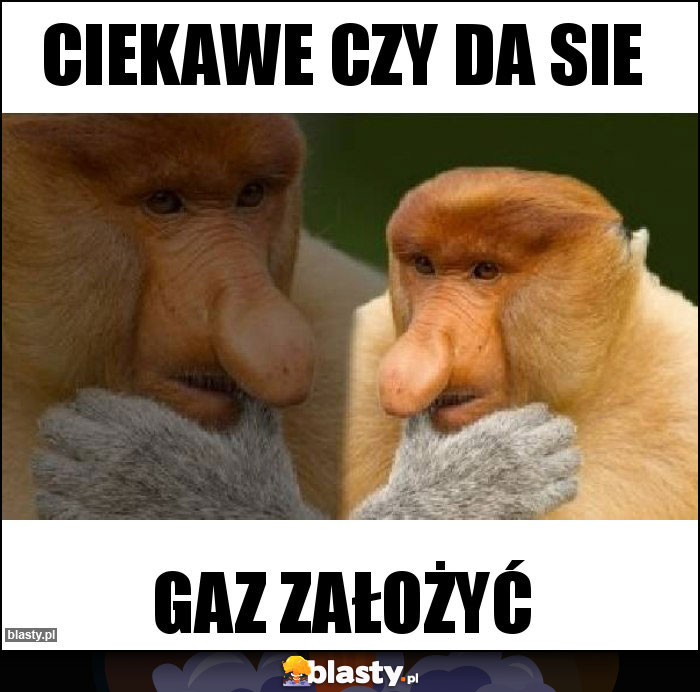 ciekawe czy da sie