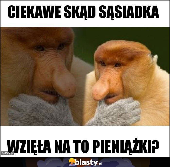 Ciekawe skąd sąsiadka