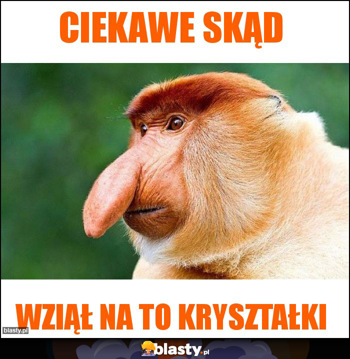 Ciekawe skąd