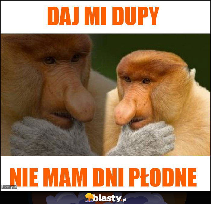 Daj mi dupy