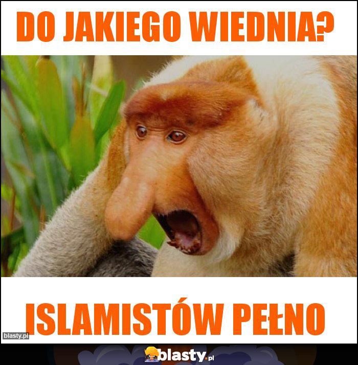 Do jakiego Wiednia?