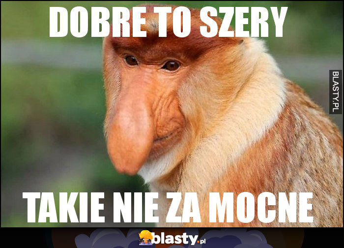 dobre to szery