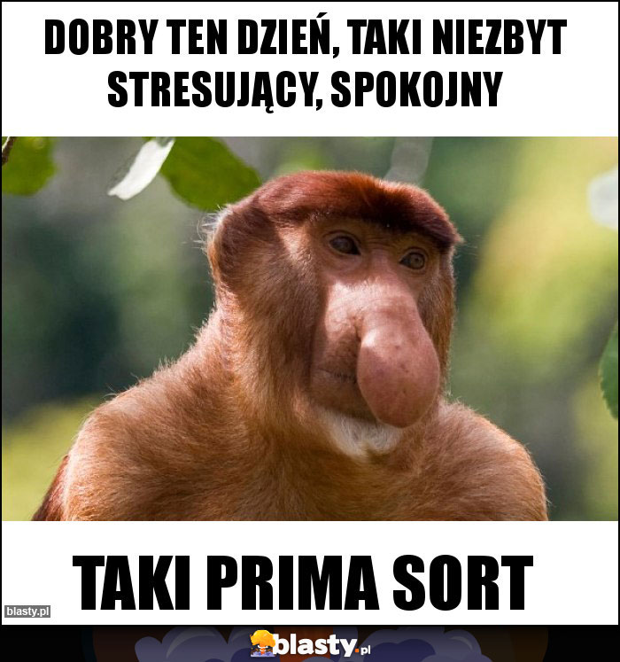 Dobry ten dzień, taki niezbyt stresujący, spokojny