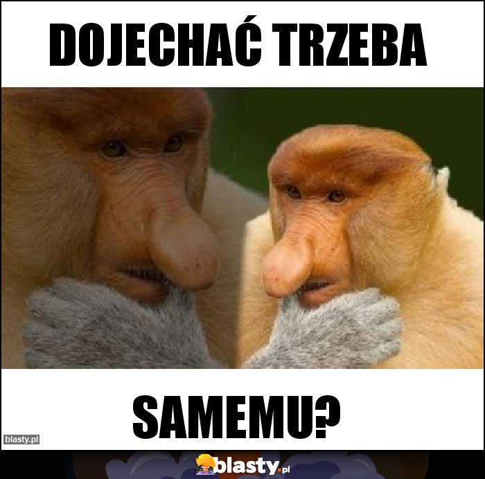 Dojechać trzeba