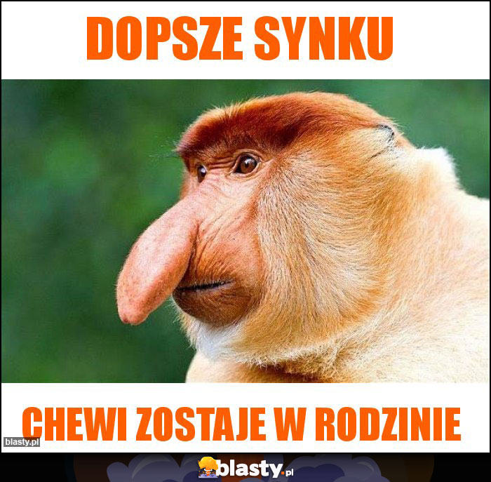 dopsze synku