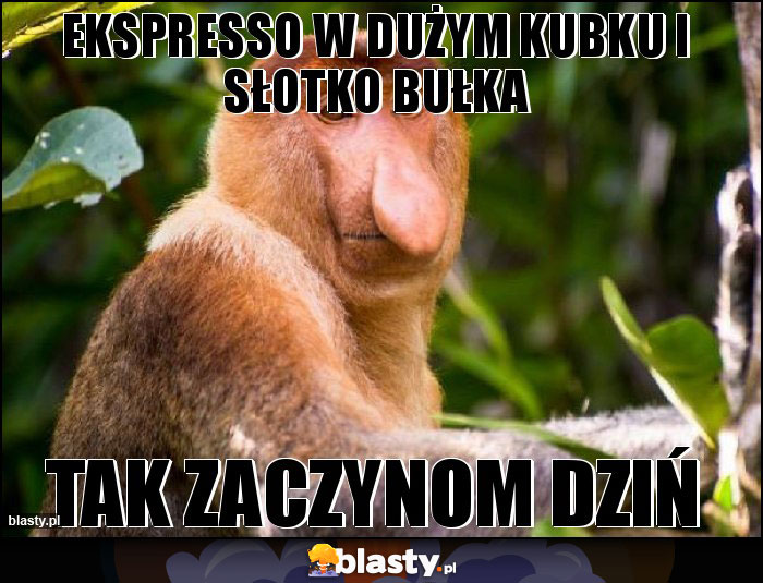 EKSPRESSO W DUŻYM KUBKU I SŁOTKO BUŁKA