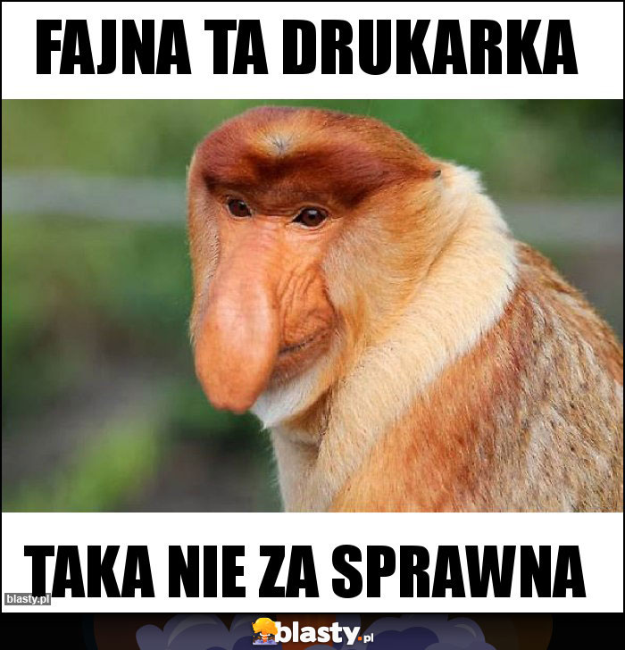 FAJNA TA DRUKARKA