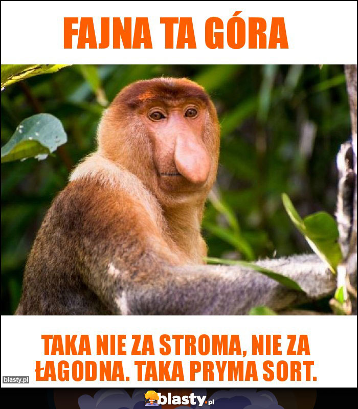 Fajna ta góra