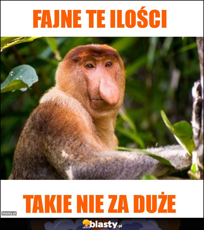 fajne te ilości