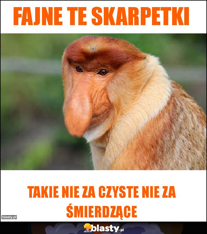 Fajne te skarpetki