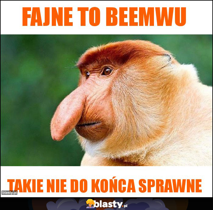 Fajne to beemwu