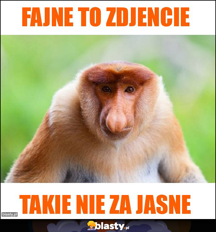 Fajne to zdjencie