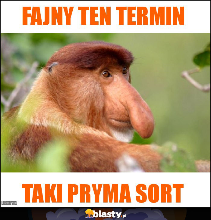 Fajny ten termin