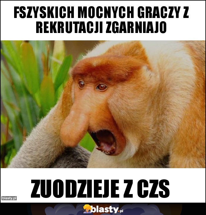 Fszyskich mocnych graczy z rekrutacji zgarniajo