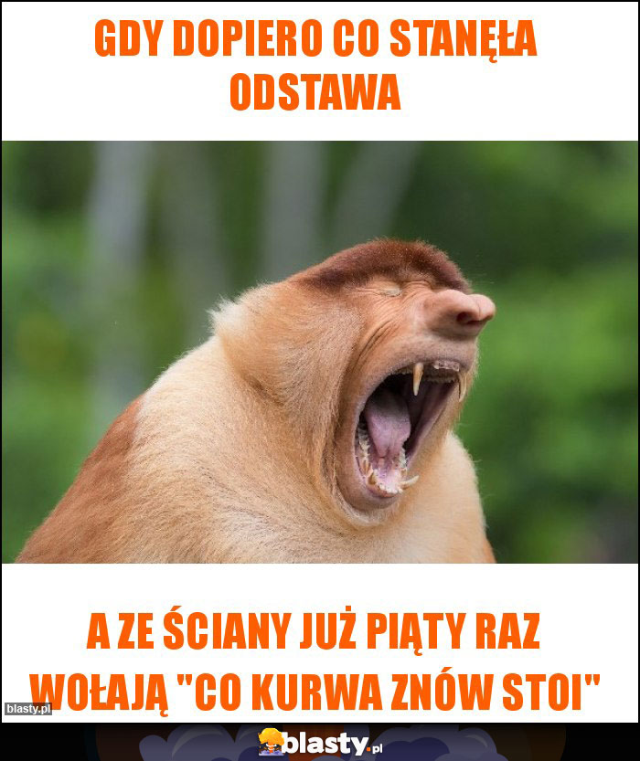 Gdy dopiero co stanęła odstawa