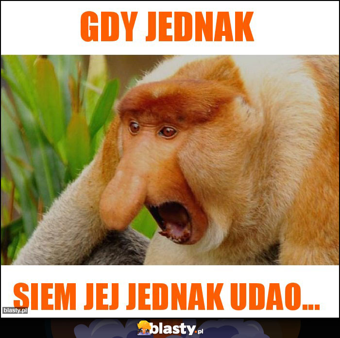 Gdy jednak