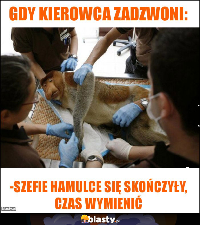 GDY KIEROWCA ZADZWONI: