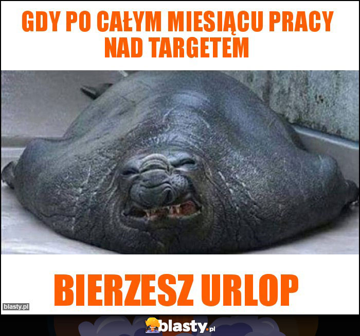 Gdy po całym miesiącu pracy nad targetem