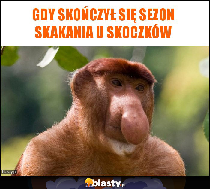 Gdy skończył się sezon skakania u skoczków