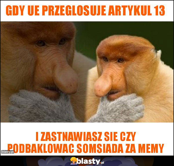 Gdy Ue przeglosuje artykul 13