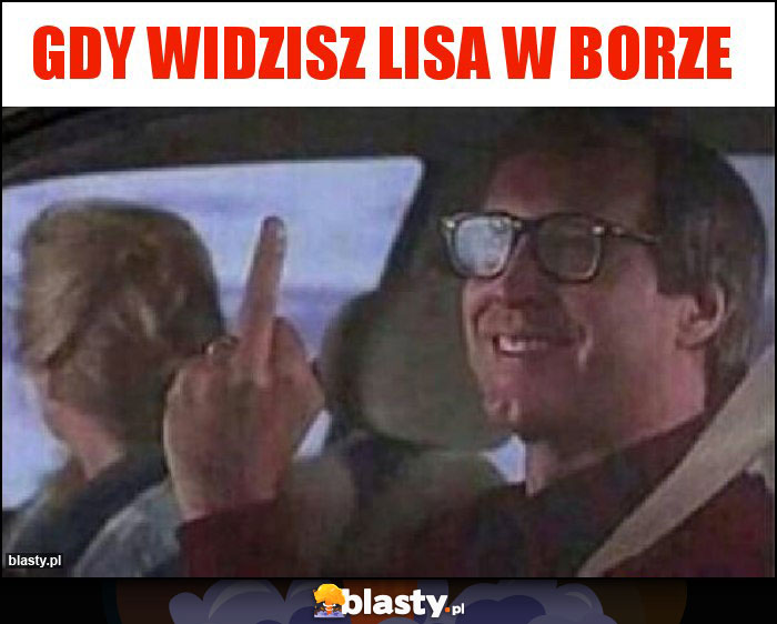 Gdy widzisz lisa w borze