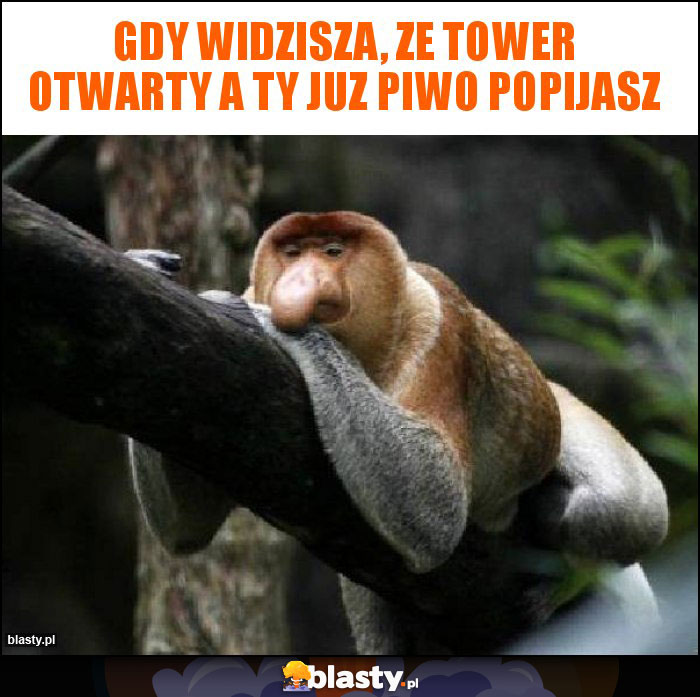 Gdy widzisza, ze tower otwarty a ty juz piwo popijasz