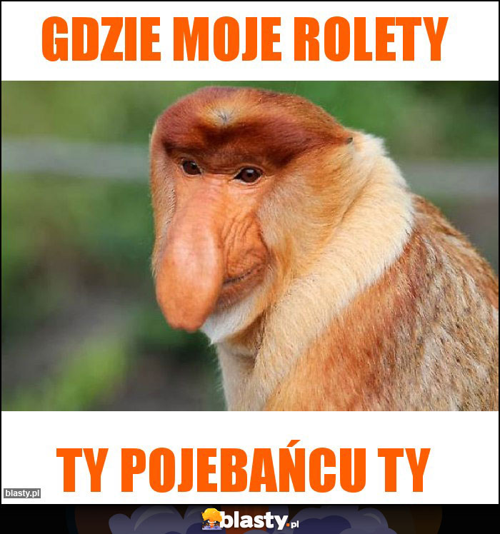 Gdzie moje rolety