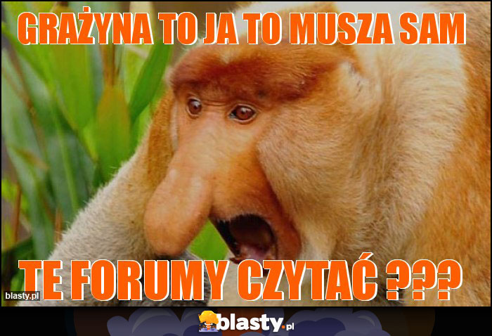 Grażyna to ja to musza sam