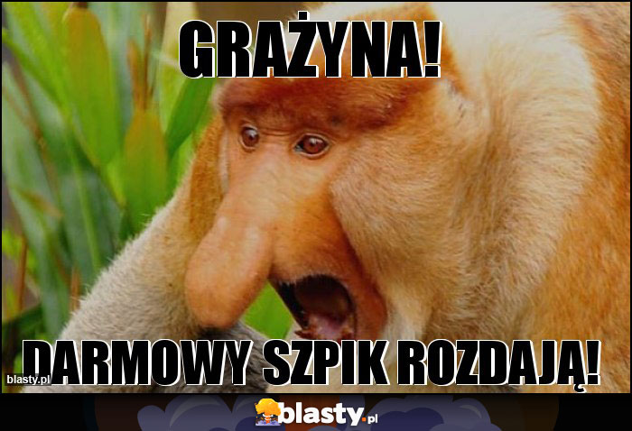 Grażyna!