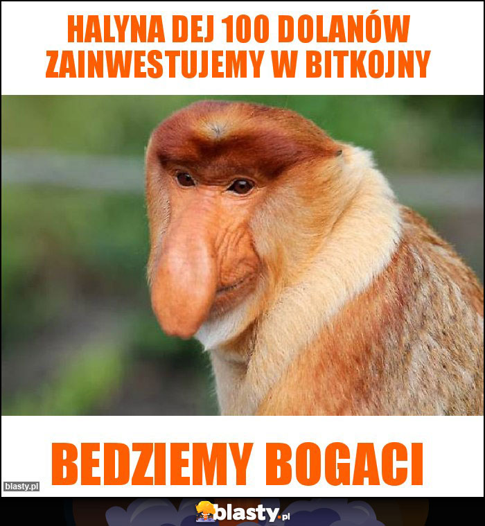 halyna dej 100 dolanów zainwestujemy w bitkojny