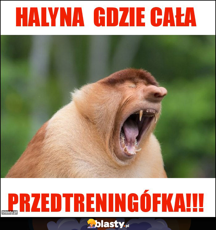 Halyna  gdzie cała