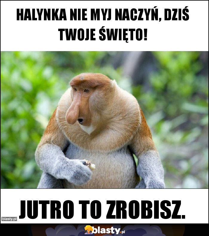 halynka Nie myj naczyń, dziś twoje święto!