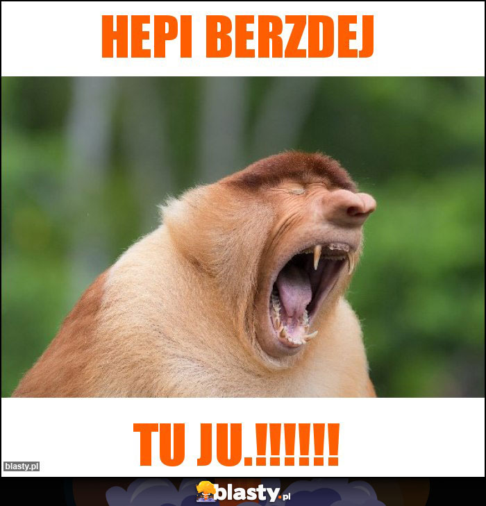 Hepi Berzdej