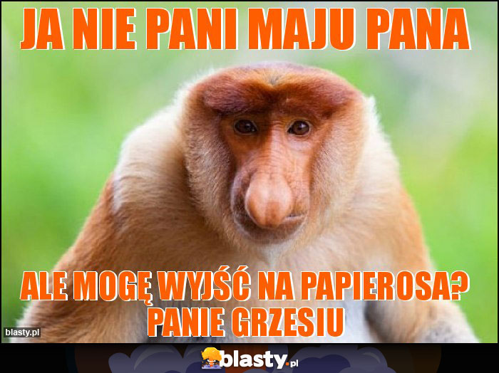 Ja nie pani maju Pana