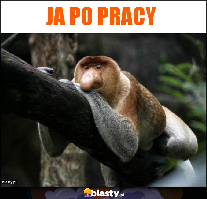 Ja po pracy