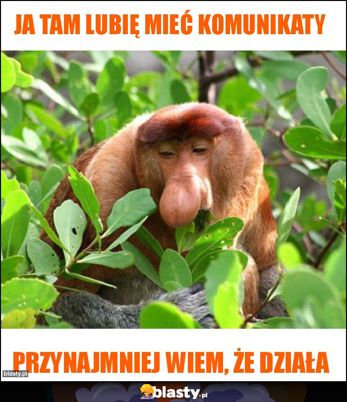 Ja tam lubię mieć komunikaty