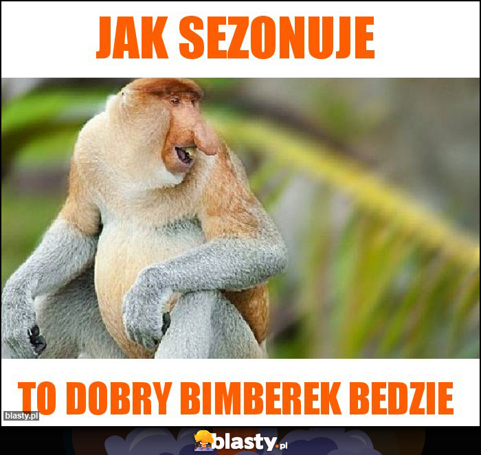 JAK SEZONUJE