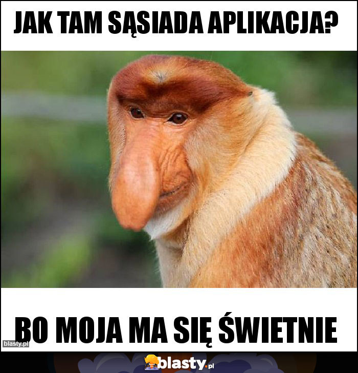 Jak tam sąsiada aplikacja?