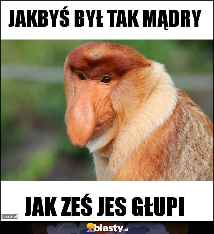 Jakbyś był tak mądry