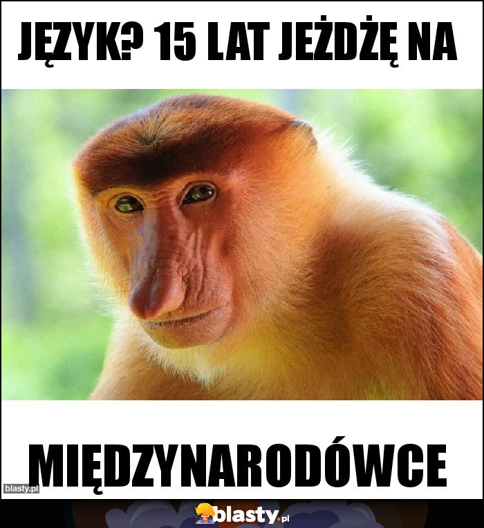 Język? 15 lat jeżdżę na