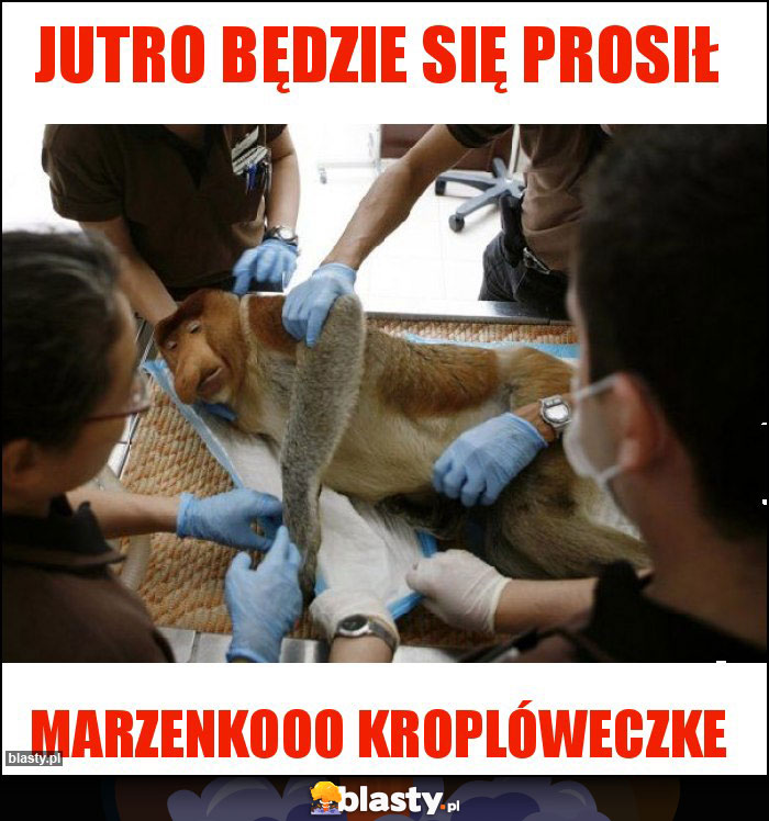 Jutro będzie się prosił