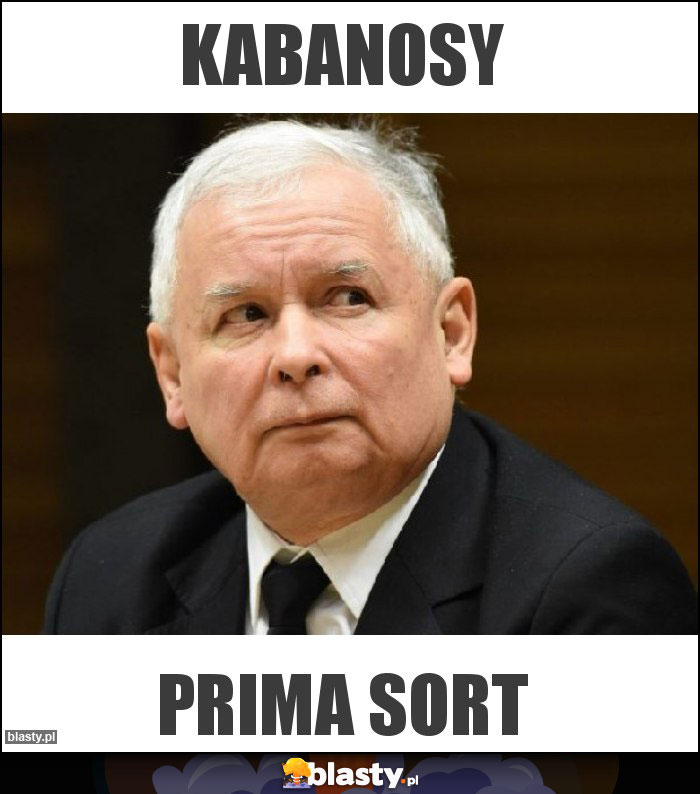 Kabanosy