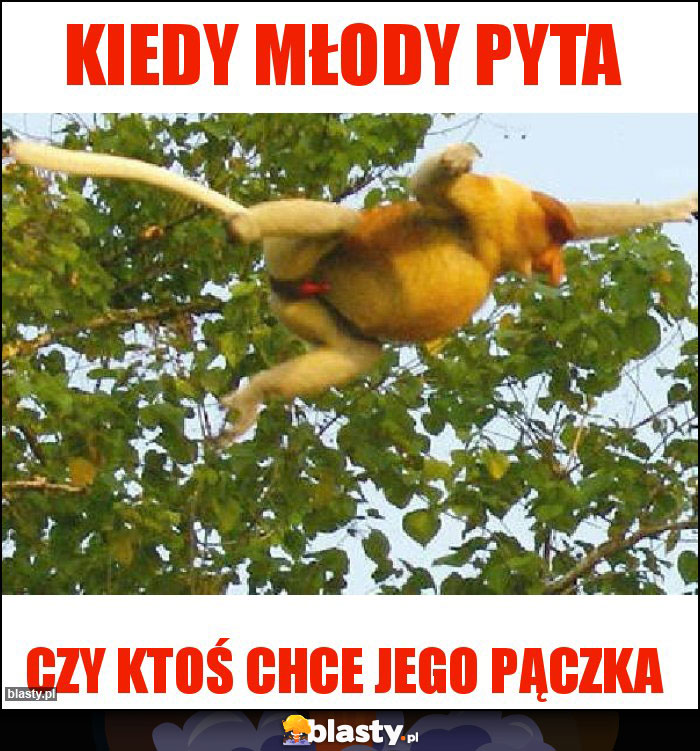 KIEDY MŁODY PYTA