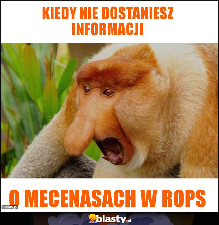 Kiedy nie dostaniesz informacji